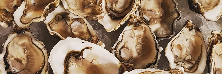 cozze